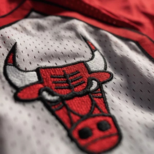 Chicago Bulls Shorts Red logo1