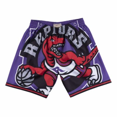 Toronto Raptors Big Face Shorts purple 4