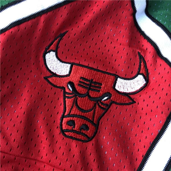 Chicago Bulls Shorts Green BULLS logo