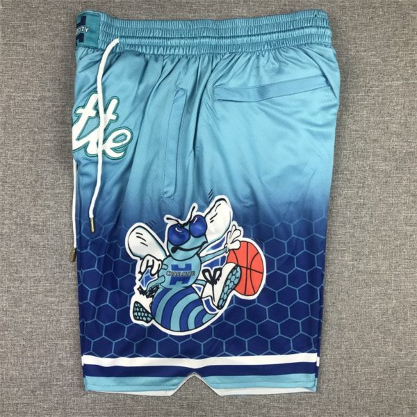 Charlotte-Hornets-202122-City-Edition-Swingman-Performance-Shorts-side-1