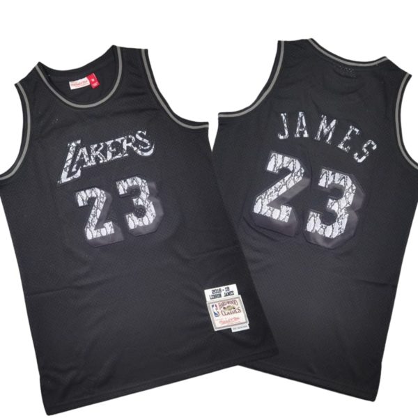 Lebron James Los Angeles Lakers Leather Elegance Swing Stitched Jersey